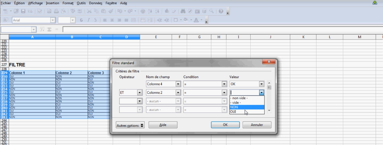 [Open office calc] Tutorial 127 : Effectuer des filtres sous Open office calc