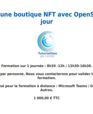 Créer une boutique NFT avec OpenSea